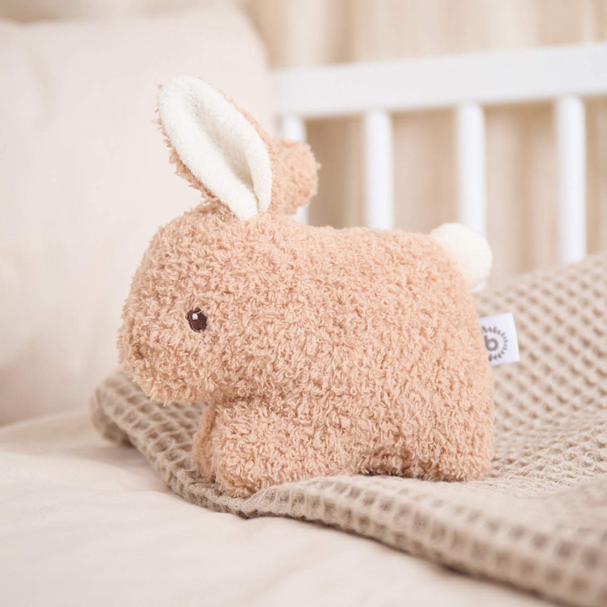 RASSEL HASE FINE