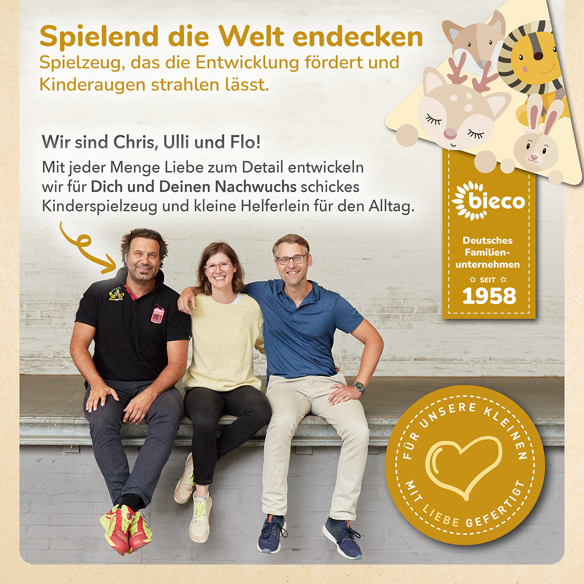 Aufbewahrungskorb Löwe