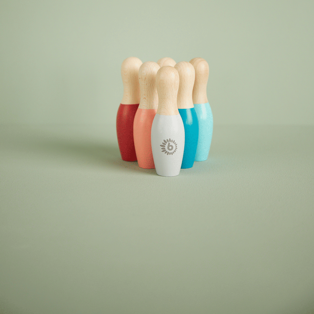 Mini Bowling Set